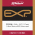 D'Addario EXP4506  tekercselt ezüstbevonatos nylon E6-os húr /EXP bevonattal medium tension/