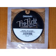 D'Addario NYL020W  tekercselt ezüstbevonatos nylon húr /Pro Arté/