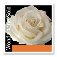 Pirastro Wondertone Solo hegedû készlet