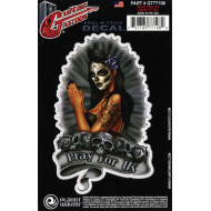 PlanetWaves Gitármatricák